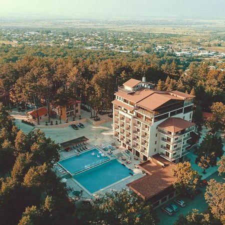 Zuzumbo Resort & Spa Telavi Dış mekan fotoğraf