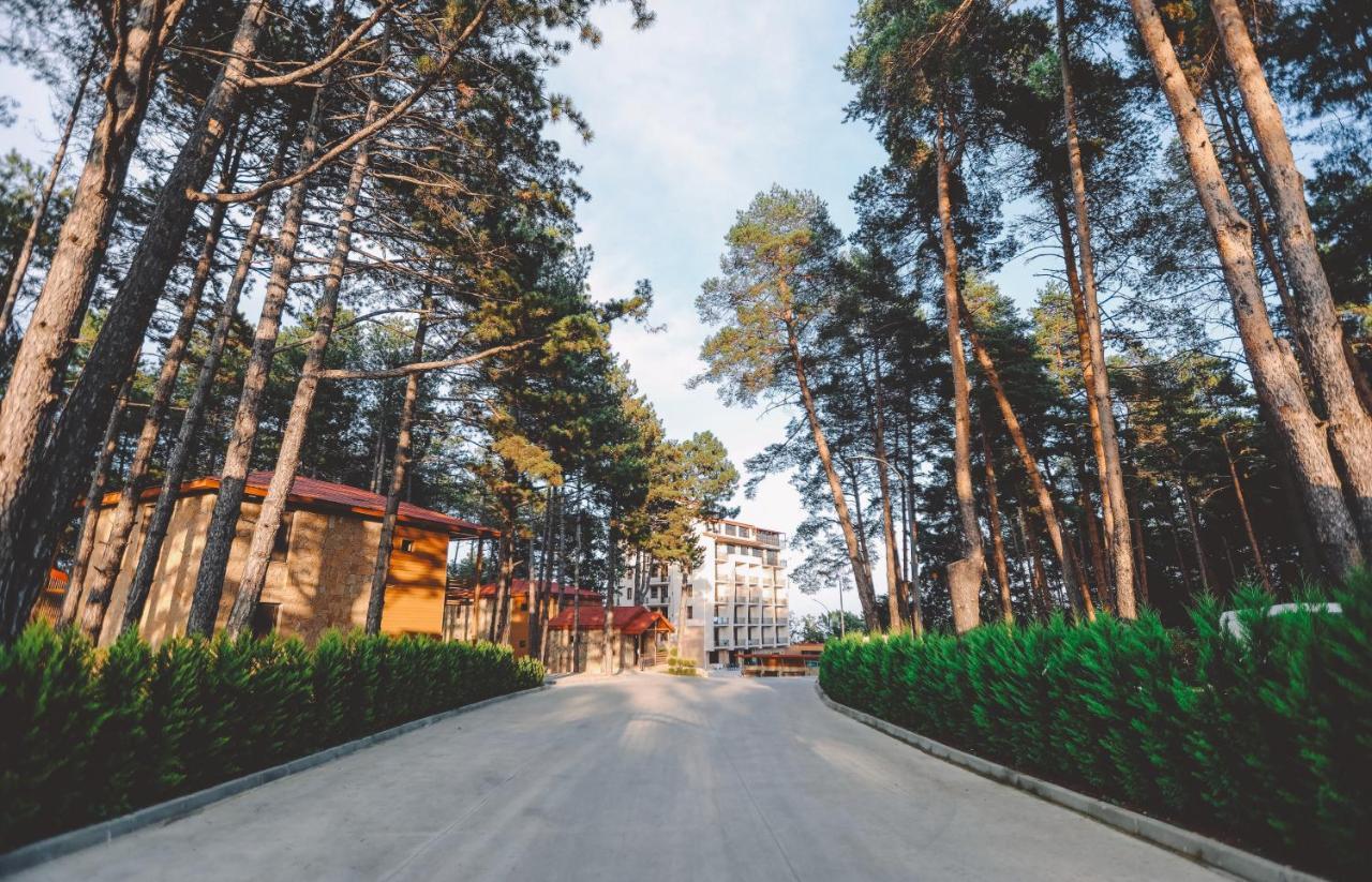 Zuzumbo Resort & Spa Telavi Dış mekan fotoğraf
