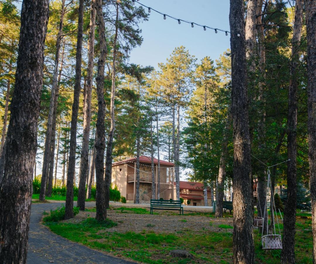 Zuzumbo Resort & Spa Telavi Dış mekan fotoğraf